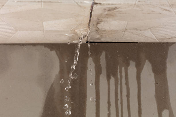 Professional Structural Drying technician working in Myrtle, MS